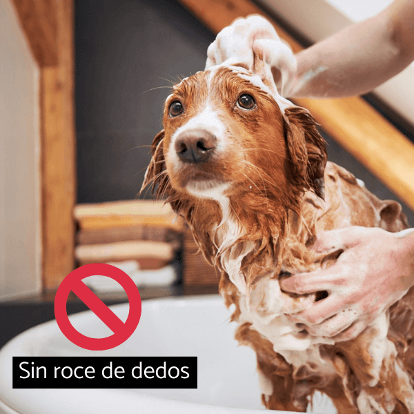 Cepillo de Baño y Masaje para Perros